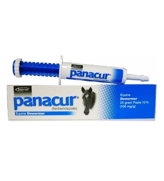 Panacur Equine Dewormer Paste, 25gm