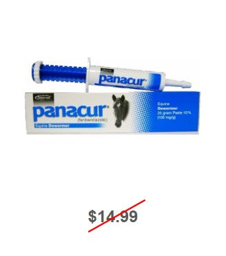 Panacur Equine Dewormer Paste, 25gm