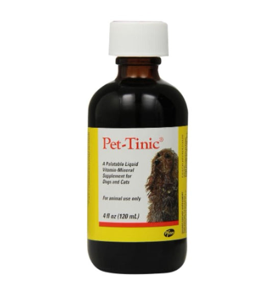 Cat Kitten CostPlus Pet Meds cat-kitten-costplus-pet-meds