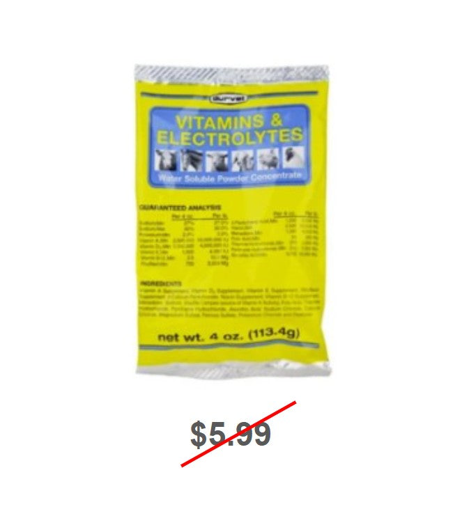 Vitamins and Electrolytes, Water Soluble Powder Concentrate, 4oz